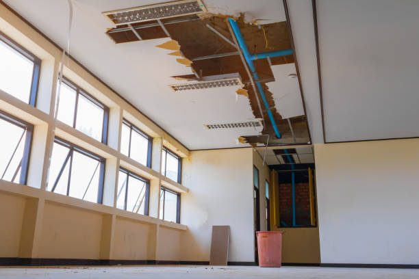Best Water damage restoration experts  in Akron, IN