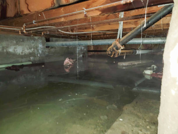 Best Fire Damage Restoration  in Akron, IN