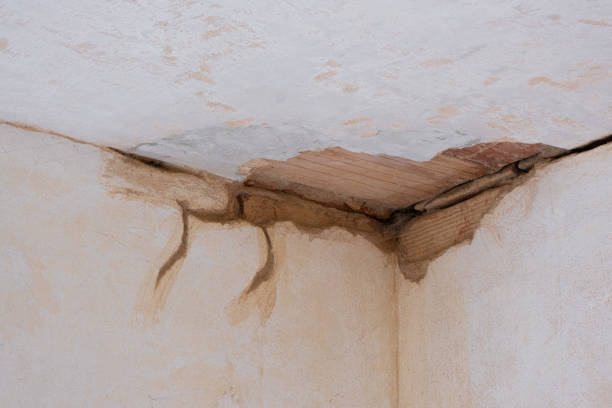 Best Professional water damage repair  in Akron, IN
