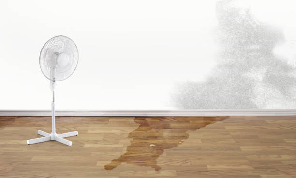 Best Water damage contractors near me  in Akron, IN