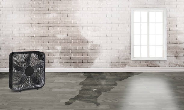 Best Flood restoration services  in Akron, IN