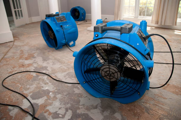 Best Water damage restoration mold remediation  in Akron, IN