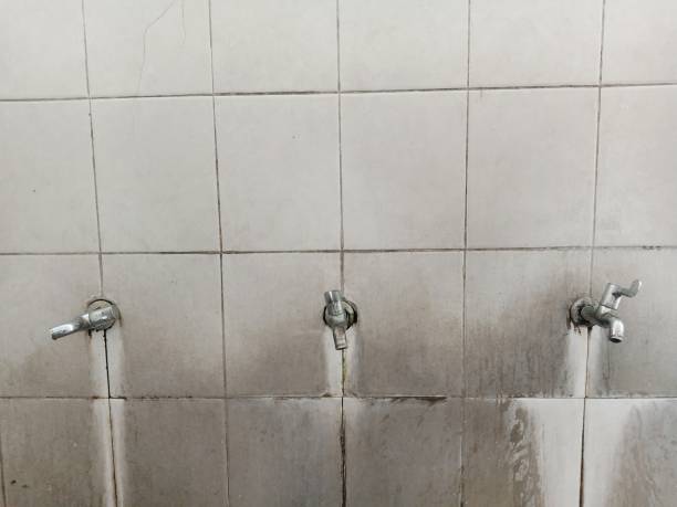 Best Flood damage cleanup  in Akron, IN