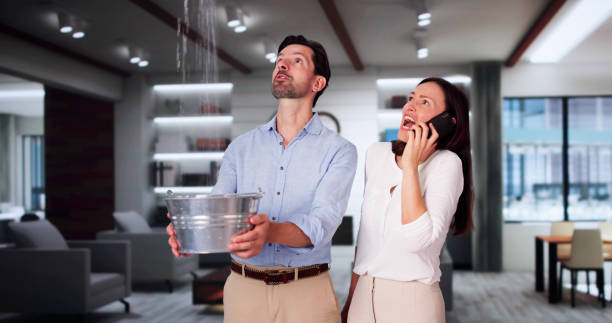 Best Ceiling water damage repair  in Akron, IN