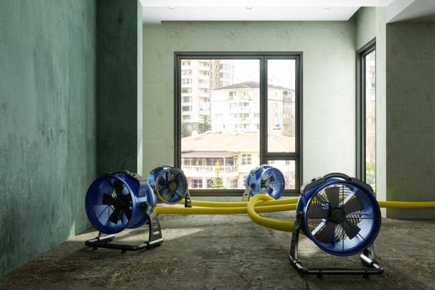 Best 24-hour water damage restoration  in Akron, IN