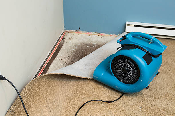 Best 24/7 water damage repair  in Akron, IN
